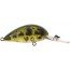 <p>REA606 - Ghost Green Shad</p>